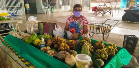 Agricultora na feira de São Desidério, reaberta após semanas suspensa: feirantes voltaram com cuidados mas consumidores ainda estão temerosos (Foto: Prefeitura de São Desidério)