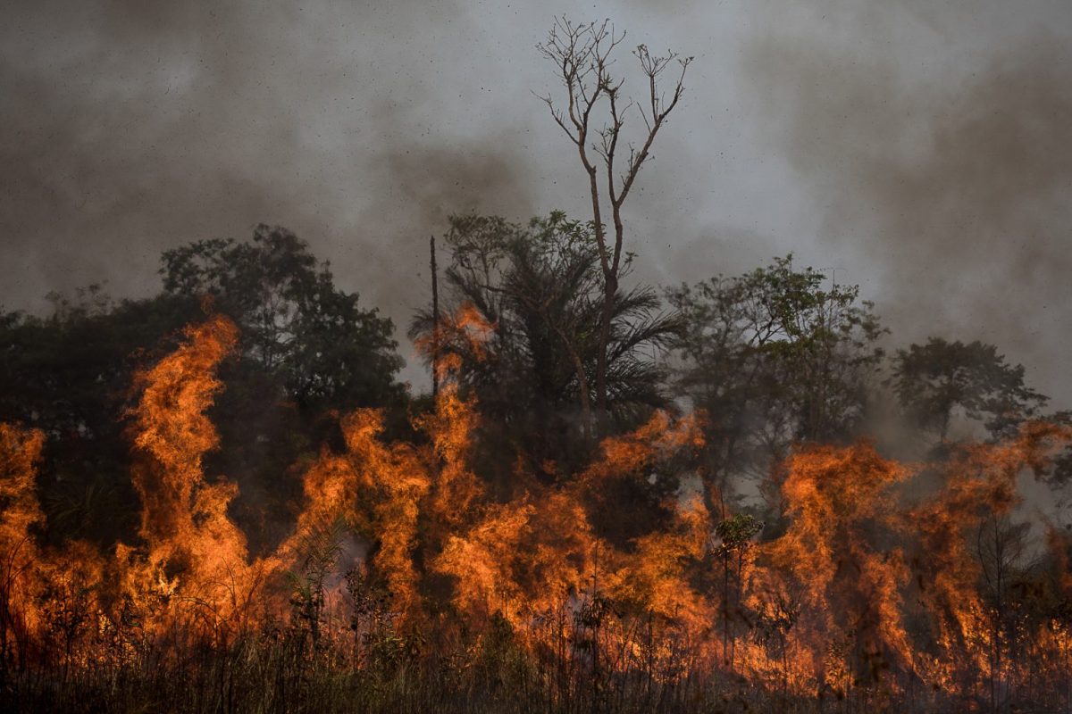 Cúpula do clima: queimada à beira da BR-319 próximo a Porto Velho (RO): fumaça dos incêndios florestais na Amazônia provocou a internação de mais de duas mil pessoas (Foto: Bruno Kelly/Amazônia Real). Agosto/2020