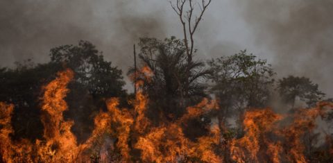 Cúpula do clima: queimada à beira da BR-319 próximo a Porto Velho (RO): fumaça dos incêndios florestais na Amazônia provocou a internação de mais de duas mil pessoas (Foto: Bruno Kelly/Amazônia Real). Agosto/2020