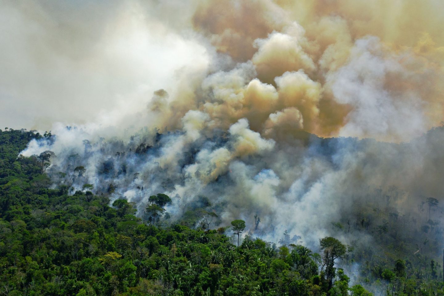 Incêndio florestal em agosto, durante temporada de seca na Floresta Amazônica: altas temperaturas e seca levam árvores a crescerem mais rápido e morrerem mais cedo (Foto: Carl de Souza/AFP)