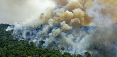 Incêndio florestal em agosto, durante temporada de seca na Floresta Amazônica: altas temperaturas e seca levam árvores a crescerem mais rápido e morrerem mais cedo (Foto: Carl de Souza/AFP)