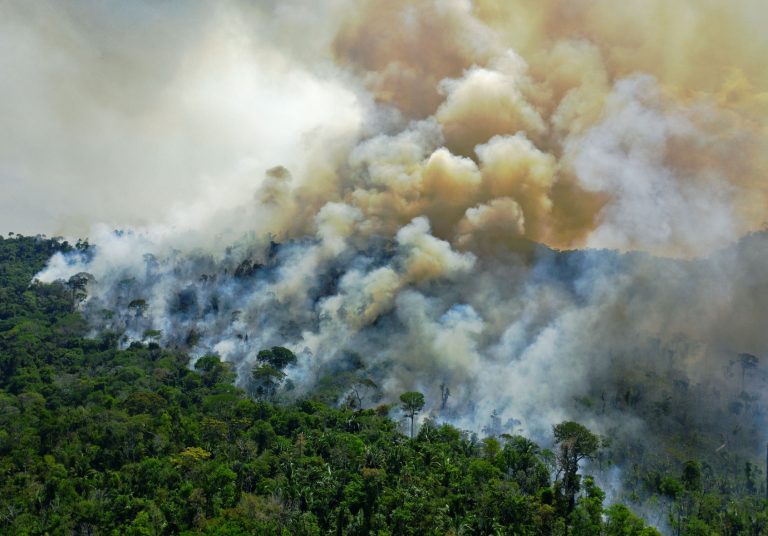 Incêndio florestal em agosto, durante temporada de seca na Floresta Amazônica: altas temperaturas e seca levam árvores a crescerem mais rápido e morrerem mais cedo (Foto: Carl de Souza/AFP)