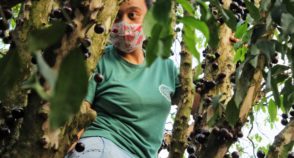 Agroecologia na batalha contra a fome que chegou com a pandemia