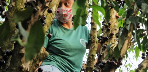 Fabiana cultiva de maneira agroecológica na mesma terra em que plantou seu avô, e o avô de seu avô. Foto de Millena Fagundes