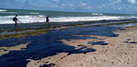 Extensa mancha de óleo em área de pesca na praia do Pontal do Peba, vizinha à foz do Rio São Francisco, em Alagoas: pescadores tiveram queda, em média, de 42% da renda (Foto: Simone Santos/Projeto Praia Limpa/Fotos Públicas)