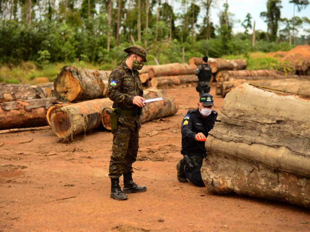 Militares em ação contra extração ilegal de madeira em Rondônia: custo de dois meses de operação na Amazônia daria para pagar o salário de mil fiscais do Ibama por um ano (Foto: Cabo Estevão/Centro de Comunicação do Exército)