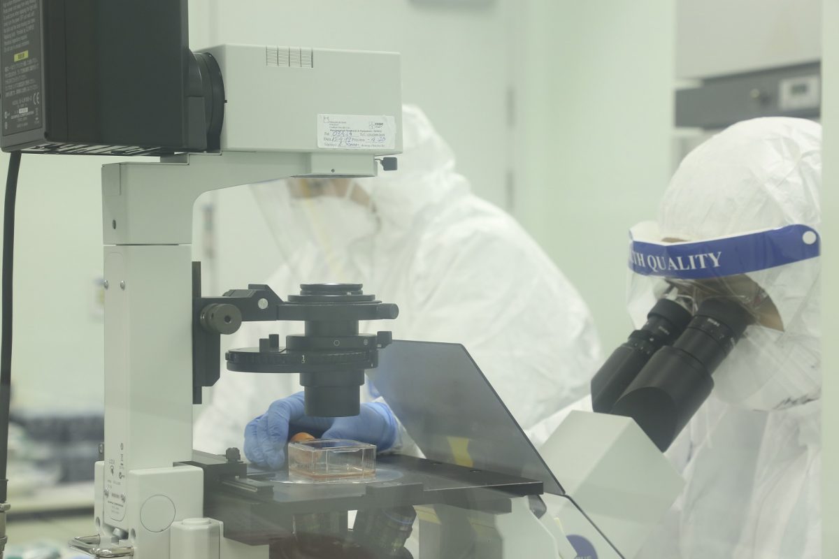 Técnicos da Fiocruz investigam a ação de medicamentos antivirais sobre o novo coronavírus. Foto Acervo da Fiocruz