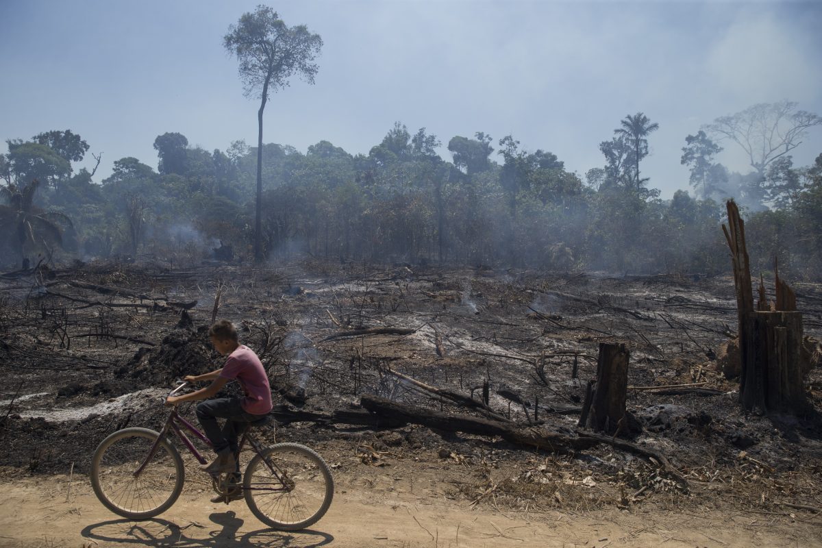 Área da Floresta Amazônica desmatada e queimada em Novo Progresso: STF deve começar em 2021 ação exigindo que governo cumpra Plano de Prevenção e Controle do Desmatamento da Amazônia (Foto: Fernando Souza/AGIF/AFP - 08/15/2020)