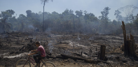 Área da Floresta Amazônica desmatada e queimada em Novo Progresso: STF deve começar em 2021 ação exigindo que governo cumpra Plano de Prevenção e Controle do Desmatamento da Amazônia (Foto: Fernando Souza/AGIF/AFP - 08/15/2020)