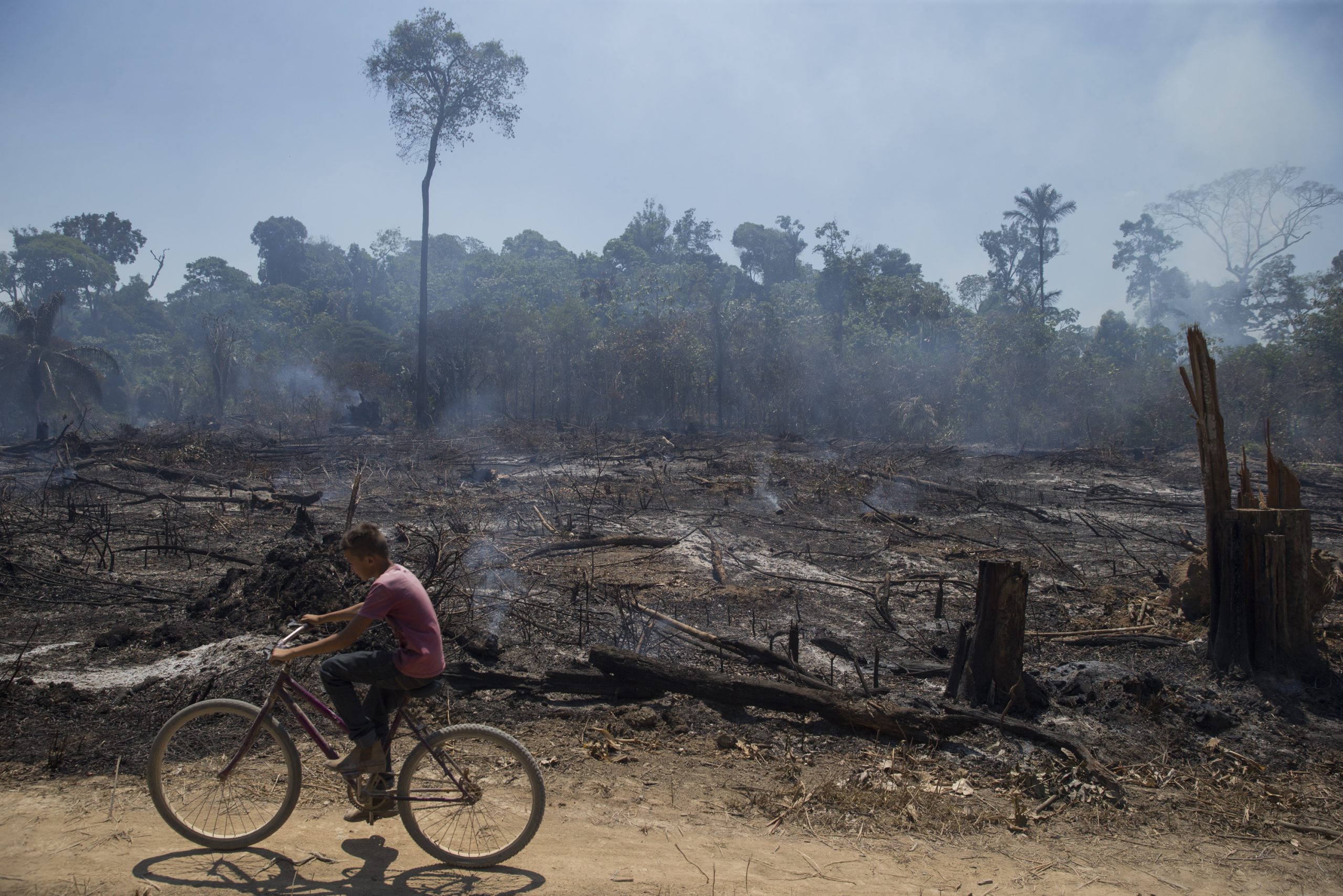 Área da Floresta Amazônica desmatada e queimada em Novo Progresso: STF deve começar em 2021 ação exigindo que governo cumpra Plano de Prevenção e Controle do Desmatamento da Amazônia (Foto: Fernando Souza/AGIF/AFP - 08/15/2020)