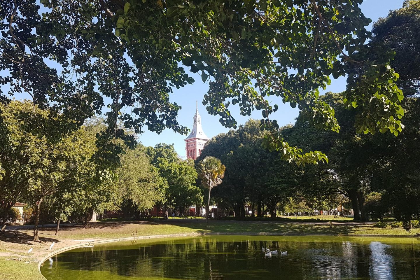 O Campo de Santana, com seu cenário bucólico, cercado de prédios históricos: reaberto após nove meses fechado (Foto: Oscar Valporto/2017)