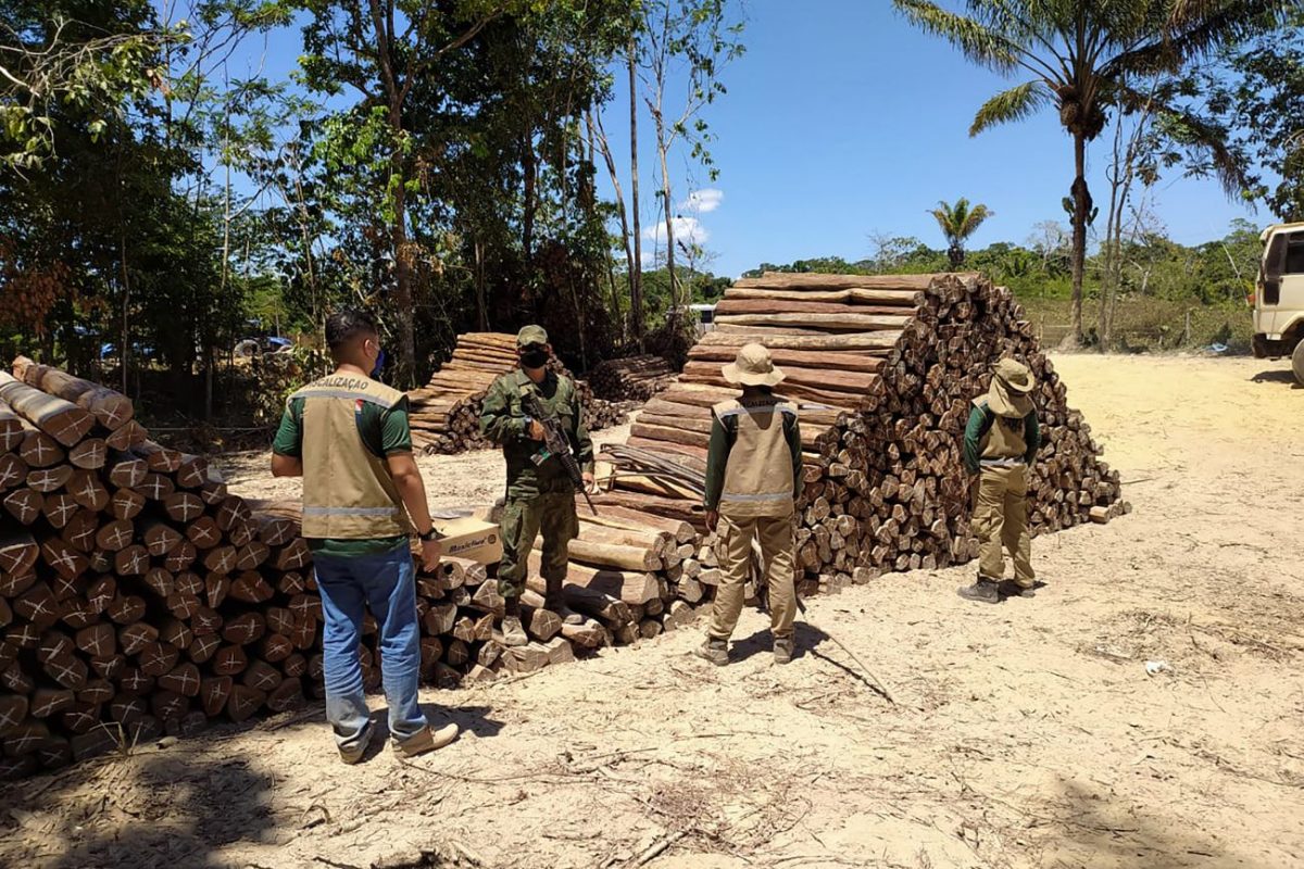 Operação contra madeireiras ilegais da PM e da Secretaria de Meio Ambiente do Pará: desmatamento cresceu 30% na Amazônia Legal em 2021 (Foto: Agência Pará - 10/08/2020)