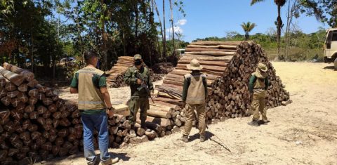 Operação contra madeireiras ilegais da PM e da Secretaria de Meio Ambiente do Pará: desmatamento cresceu 30% na Amazônia Legal em 2021 (Foto: Agência Pará - 10/08/2020)