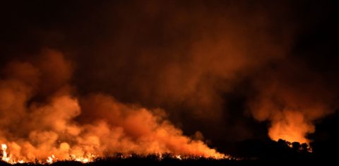 Pantanal em chamas em temporada recorde de seca e de foto: nova Aliança pela Ação Climática quer estimular iniciativas conjuntas para enfrentar a crise do clima (Foto: Gustavo Basso/AFP - 090/09/2020)