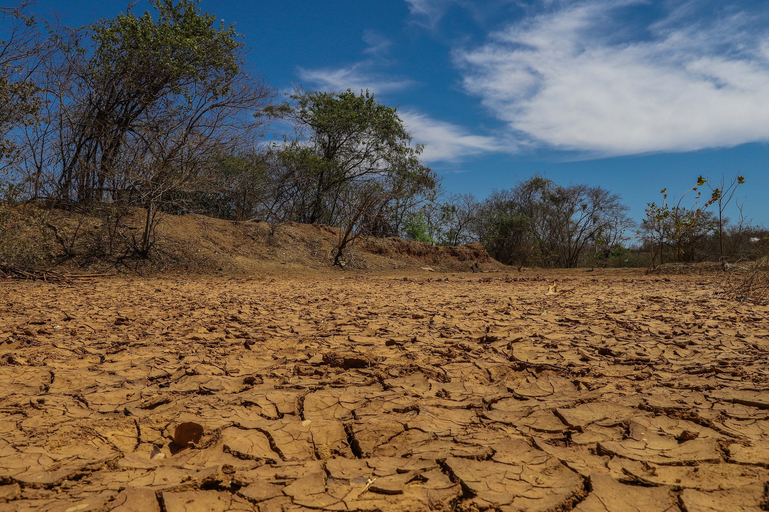 Reserva indígena Xakriabá: território ocupado pelas aldeias, afastado do São Francisco, está cada vez mais seco (Foto: Flavio Tavares/Projeto Colabora)