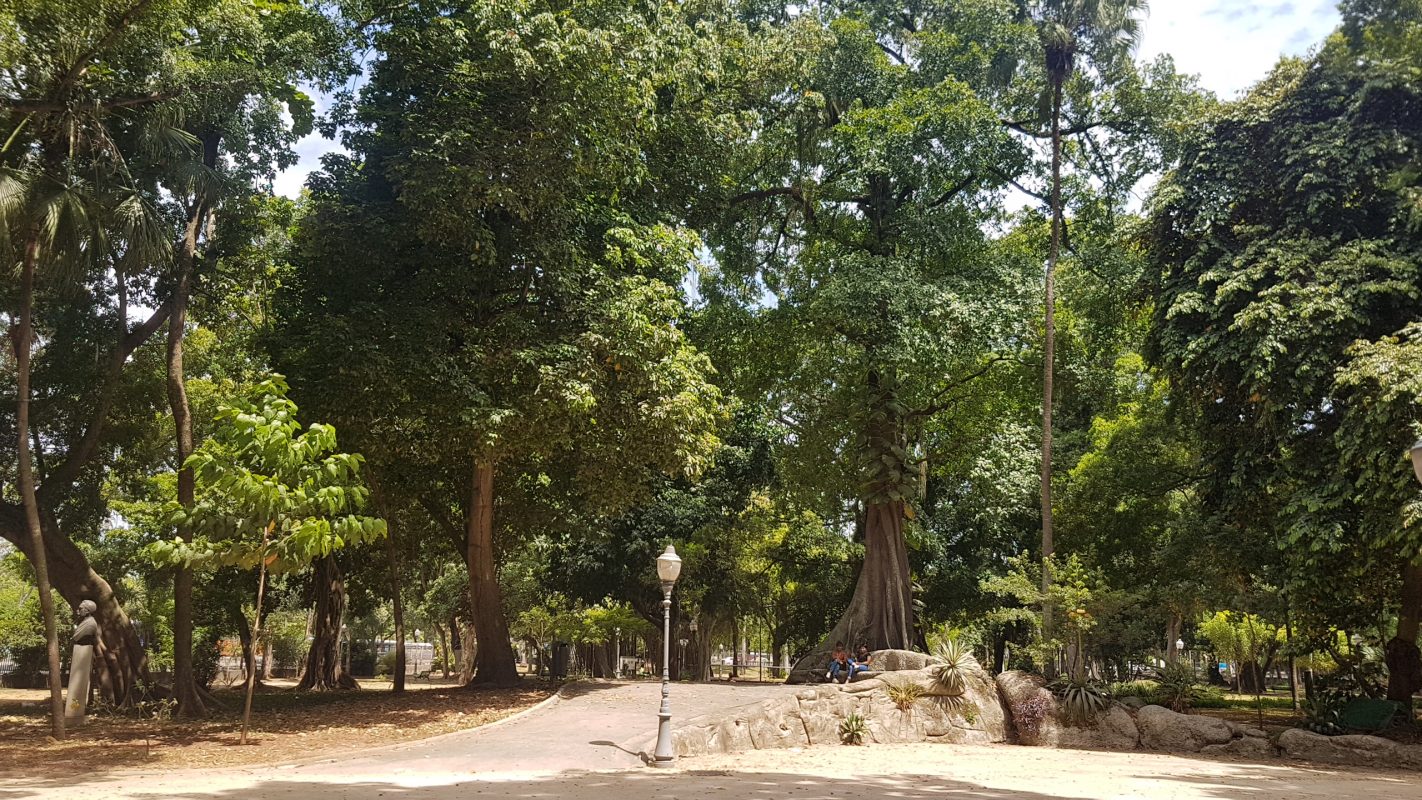 Cariocas aproveitam a sombra no Passeio Público: parque e Centro da cidade à espera de melhores verões (Foto: Oscar Valporto)