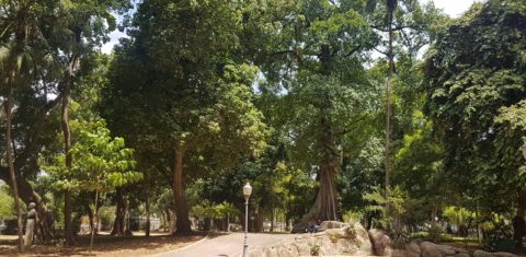 Cariocas aproveitam a sombra no Passeio Público: parque e Centro da cidade à espera de melhores verões (Foto: Oscar Valporto)