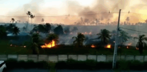 Área em chamas em Porto de Galinhas: queimadas avançam em famoso destino turístico do Nordeste (Foto; Reprodução)