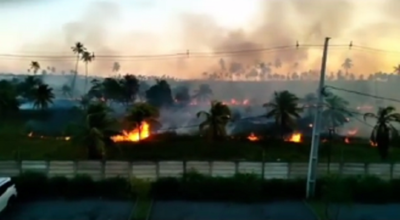Área em chamas em Porto de Galinhas: queimadas avançam em famoso destino turístico do Nordeste (Foto; Reprodução)