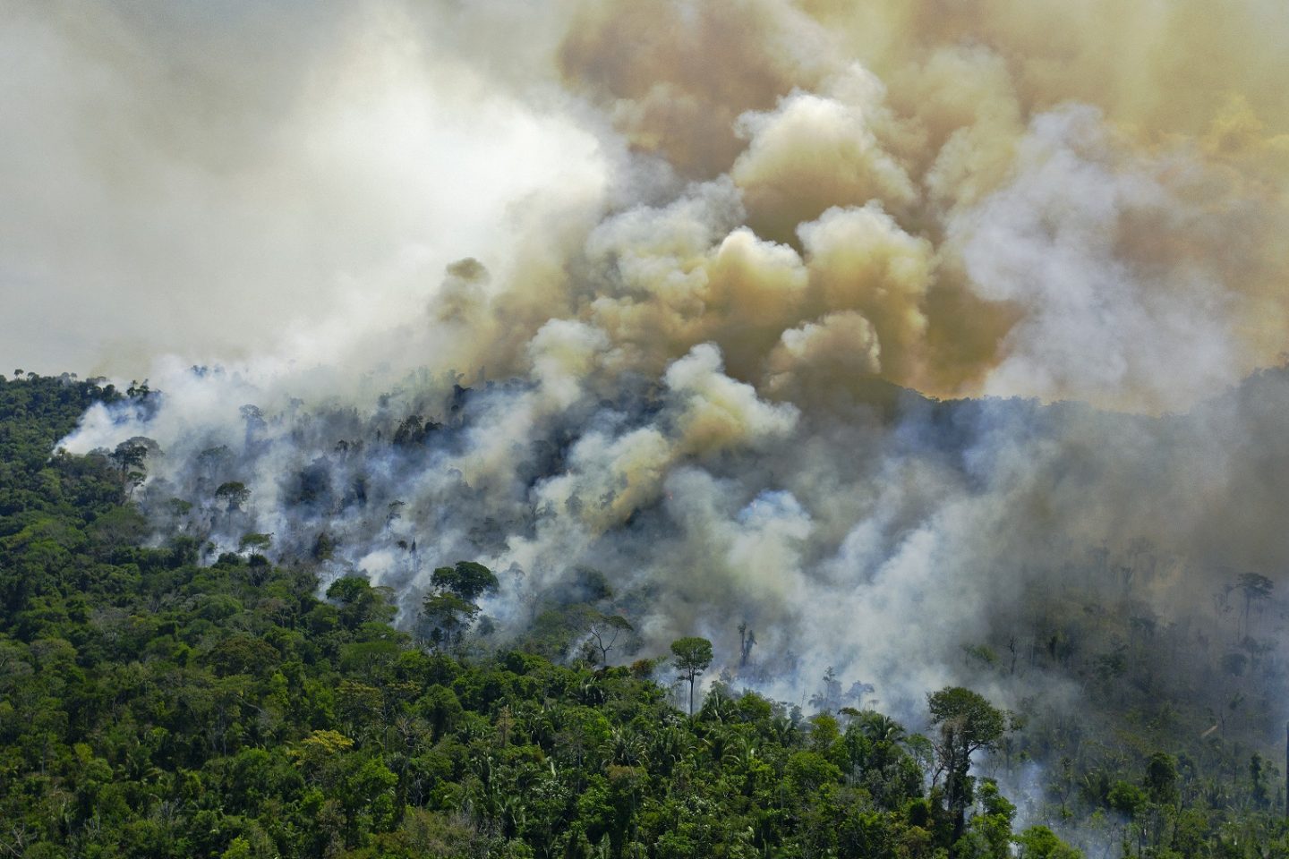 Vista aérea de um incêndio em uma reserva florestal ao do município de Novo Progresso, no Pará. Em julho de 2020, mais de 90 empresários assinaram um documento reafirmando a necessidade de conciliar produção com preservação ambiental. Foto Carl Souza/AFP