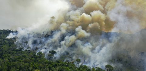 Vista aérea de um incêndio em uma reserva florestal ao do município de Novo Progresso, no Pará. Em julho de 2020, mais de 90 empresários assinaram um documento reafirmando a necessidade de conciliar produção com preservação ambiental. Foto Carl Souza/AFP