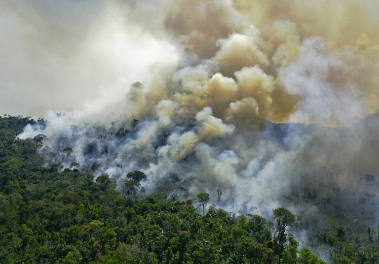 Vista aérea de um incêndio em uma reserva florestal ao do município de Novo Progresso, no Pará. Em julho de 2020, mais de 90 empresários assinaram um documento reafirmando a necessidade de conciliar produção com preservação ambiental. Foto Carl Souza/AFP