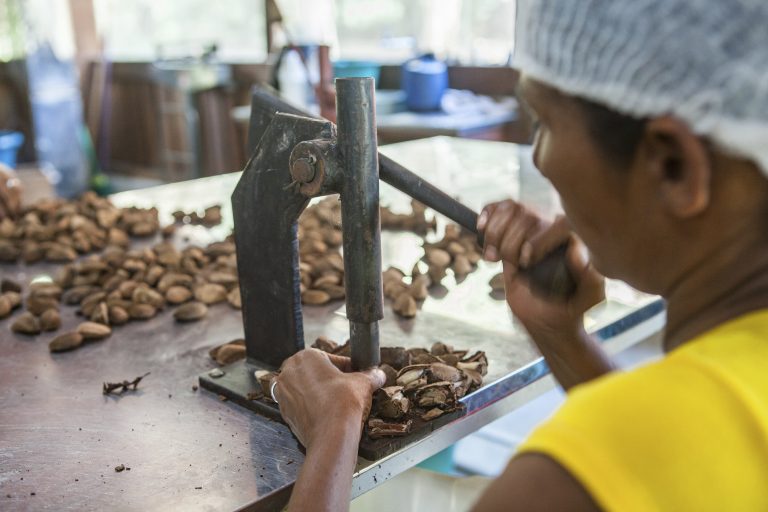 Rede de Cantinas da Terra do Meio. Foto de Lilo Clareto/ ISA