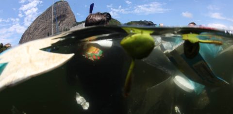 Lixo plástico na Baía de Guanabara: projeto de lei prevê medidas para reduzir danos ambientais, incluindo fim dos falsos biodegradáveis (Foto: Custódio Coimbra - 16/03/2021)