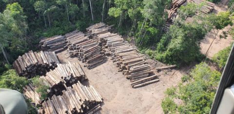 Apreensão de madeira em área de desmatamento ilegal no Pará: Coalizão pede mais ambição climática do Brasil com redução do desmatamento (Foto: Ascom/Polícia Federal - 21/12/2020)
