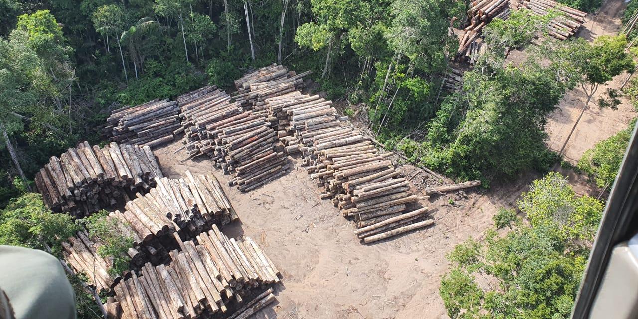 Apreensão de madeira em área de desmatamento ilegal no Pará. (Foto: Ascom/Polícia Federal - 21/12/2020)