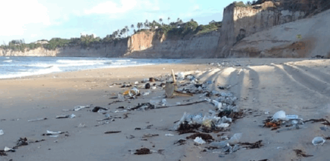 Lixo espalhado pela areia da praia no município de Nísia Formosa: seis toneladas recolhidas no Rio Grande do Norte (Foto: Idema/RN)