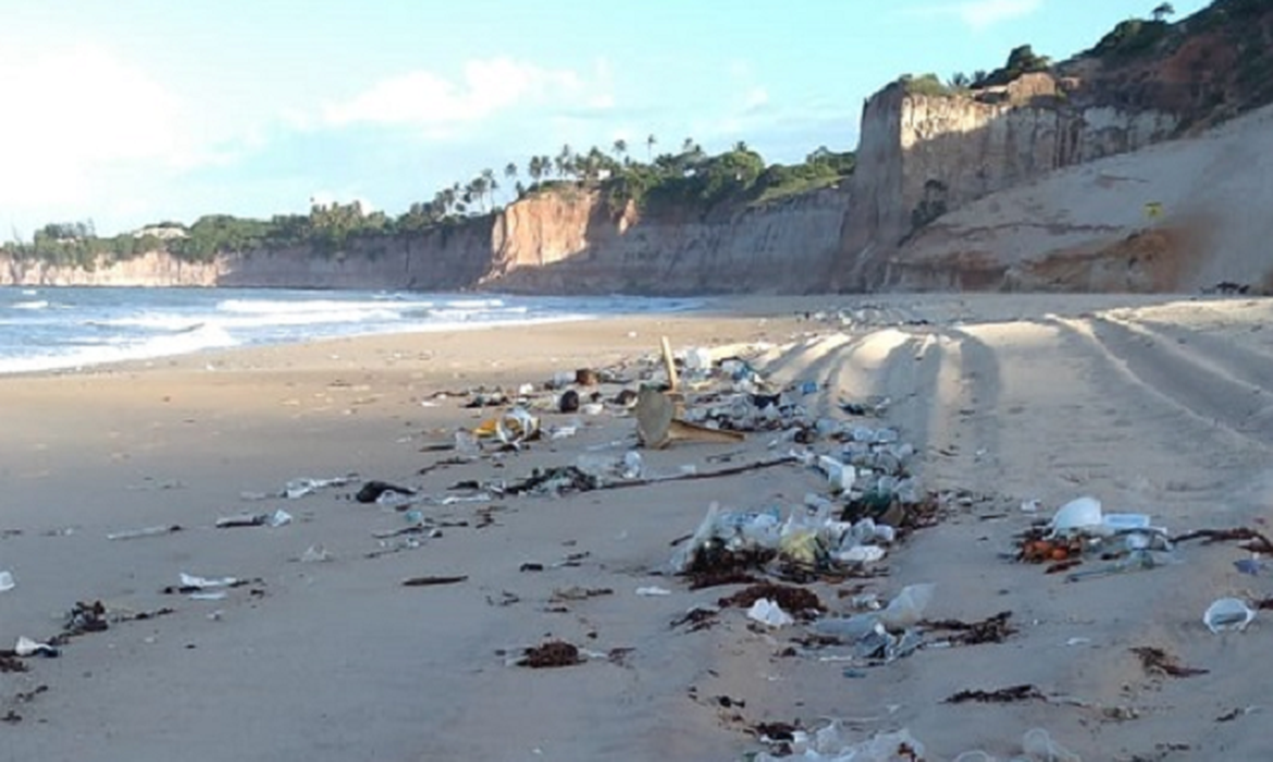 Lixo espalhado pela areia da praia no município de Nísia Formosa: seis toneladas recolhidas no Rio Grande do Norte (Foto: Idema/RN)