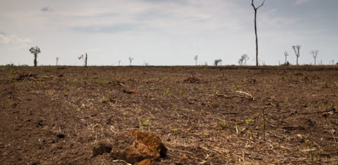 Desmatamento e queimada no Cerrado. Foto de Thomas Bauer/ ISPN
