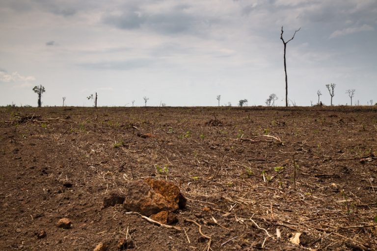 Desmatamento e queimada no Cerrado. Foto de Thomas Bauer/ ISPN