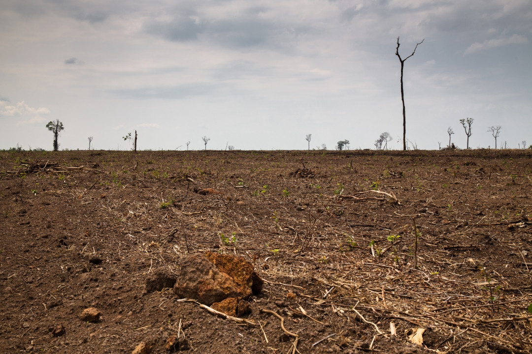 Desmatamento e queimada no Cerrado. Foto de Thomas Bauer/ ISPN