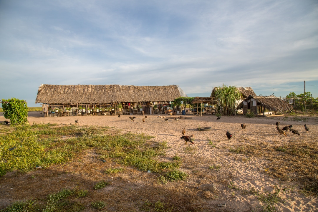 Comunidade Tauá, na região do Matopiba, em Tocantins, sofre ameaças de grileiros. Foto de Thomas Bauer/ ISPN