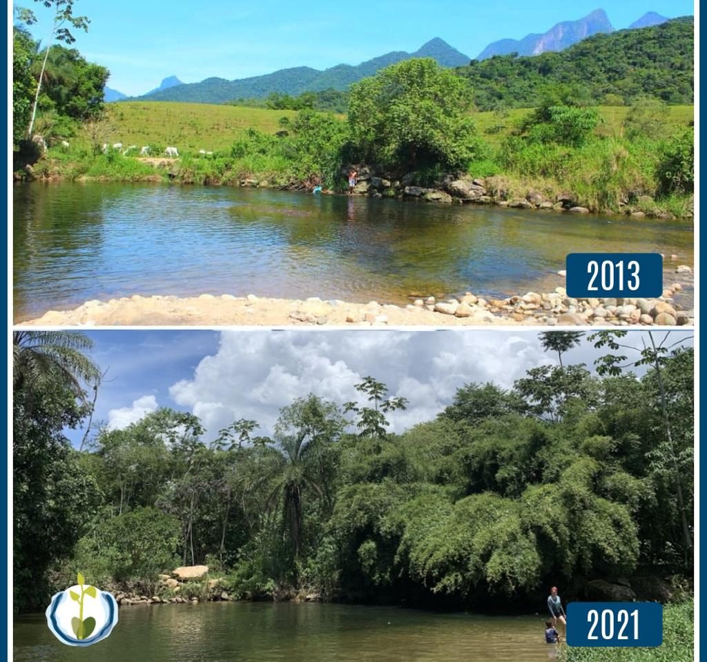 Antes e depois, em região de floresta beneficiada pelo Projeto Guapiaçu. Reprodução