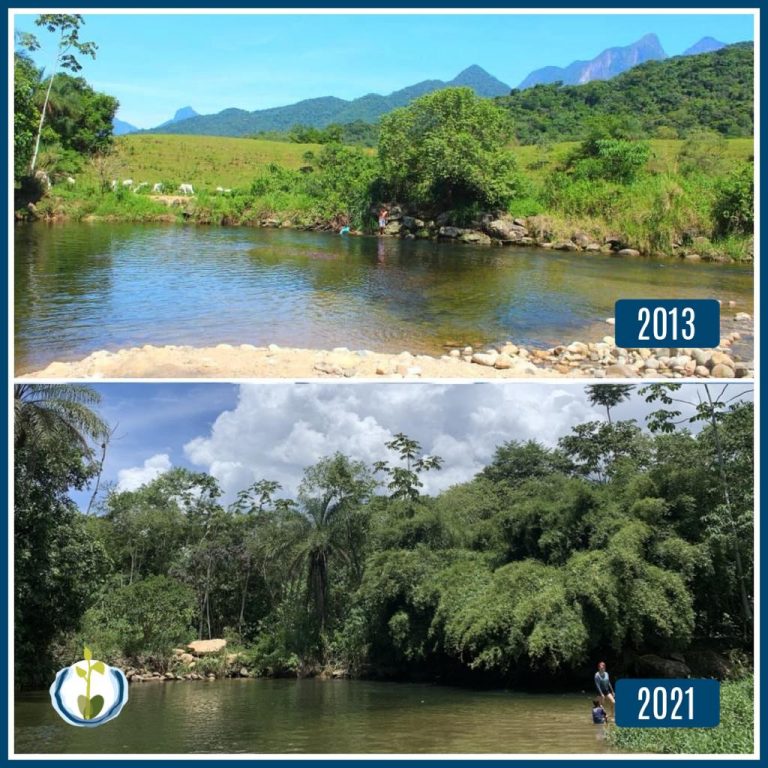 Antes e depois, em região de floresta beneficiada pelo Projeto Guapiaçu. Reprodução