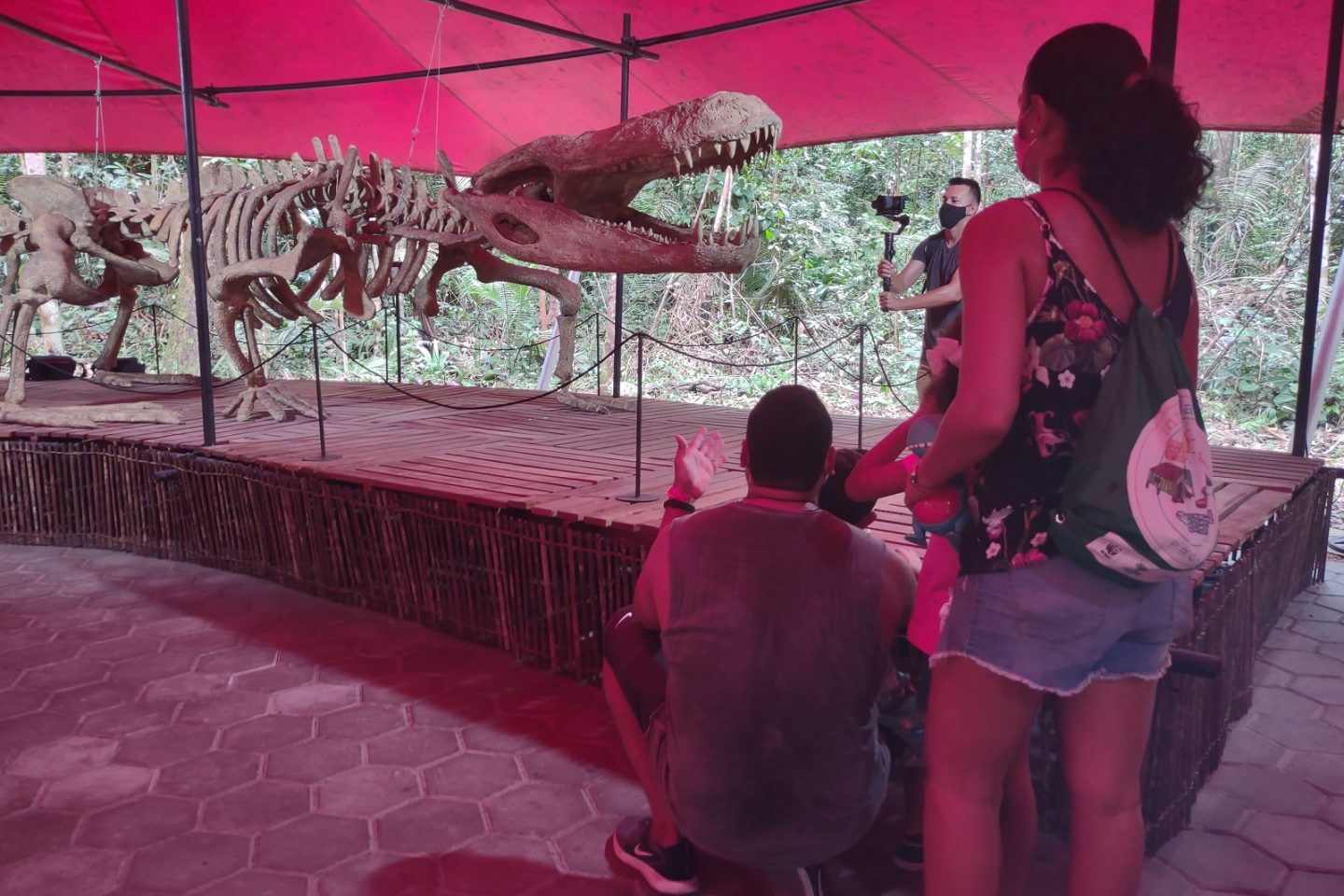 O Purussaurus brasiliensis, um parente dos jacarés que viveu há 7 milhões de anos e que chegava a 13 metros de comprimento está em exposição no Musa. Foto Divulgação Musa/Março2021