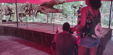 O Purussaurus brasiliensis, um parente dos jacarés que viveu há 7 milhões de anos e que chegava a 13 metros de comprimento está em exposição no Musa. Foto Divulgação Musa/Março2021