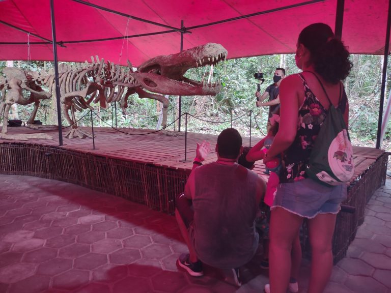 O Purussaurus brasiliensis, um parente dos jacarés que viveu há 7 milhões de anos e que chegava a 13 metros de comprimento está em exposição no Musa. Foto Divulgação Musa/Março2021