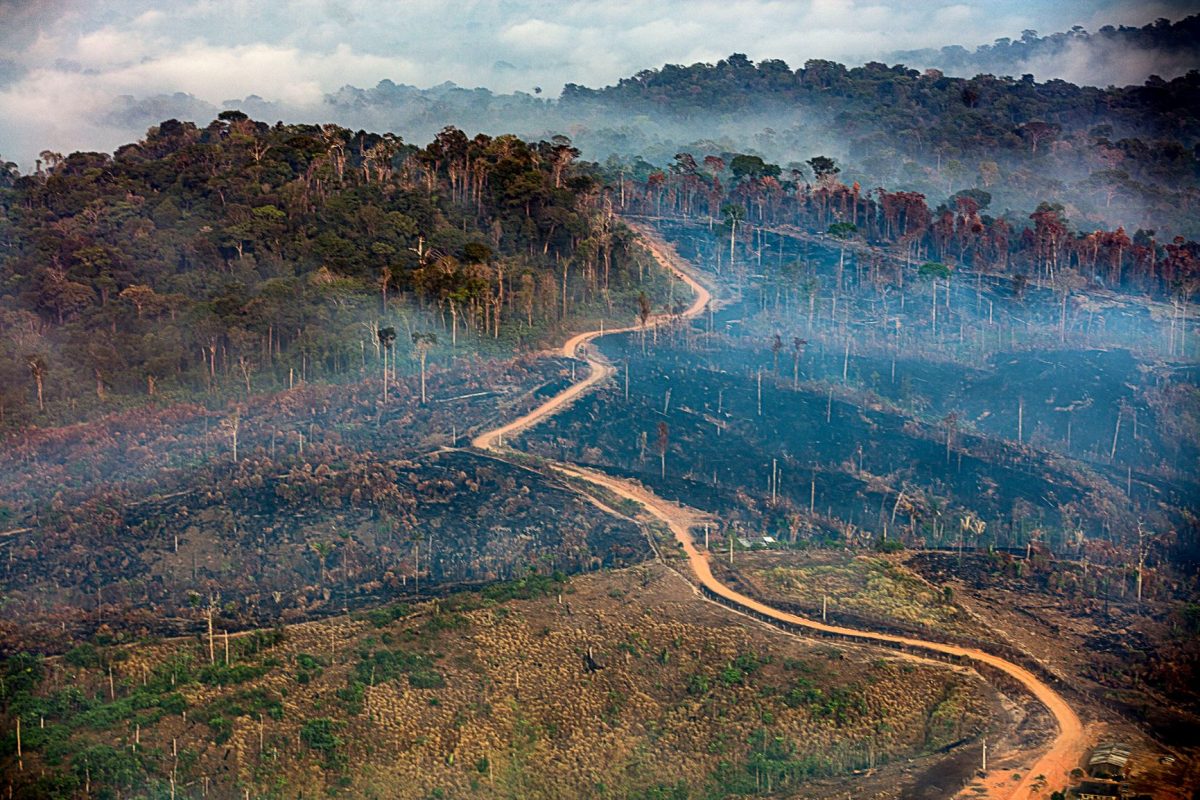 Fogo e desmatamento na Floresta Nacional do Jamanxim,, no Pará: Brasil tem posição melhor em ranking de IDH que considera pegada ambiental mas (Foto: Marizilda Cruppe/Amazônia Real/Amazon Watch - 17/09/2020)