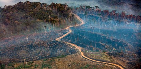 Fogo e desmatamento na Floresta Nacional do Jamanxim,, no Pará: Brasil tem posição melhor em ranking de IDH que considera pegada ambiental mas (Foto: Marizilda Cruppe/Amazônia Real/Amazon Watch - 17/09/2020)
