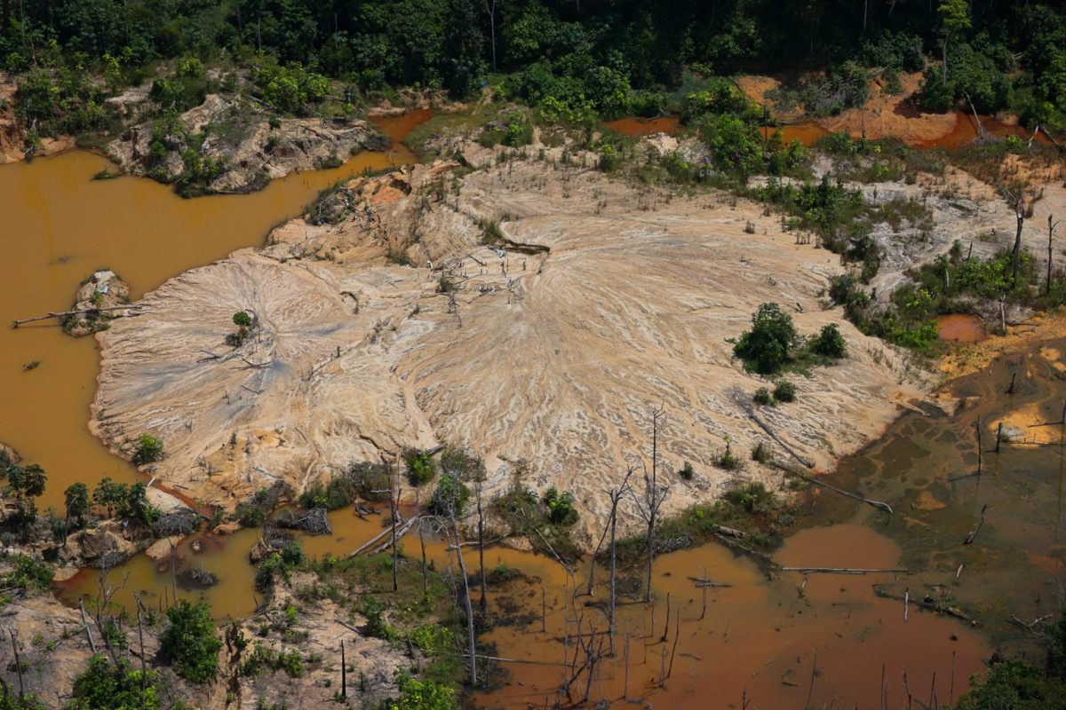 Garimpo ilegal na Terra Yanomami: aumento de 30% na atividade (Foto: Chico Batata / Greenpeace / Amazônia Real)