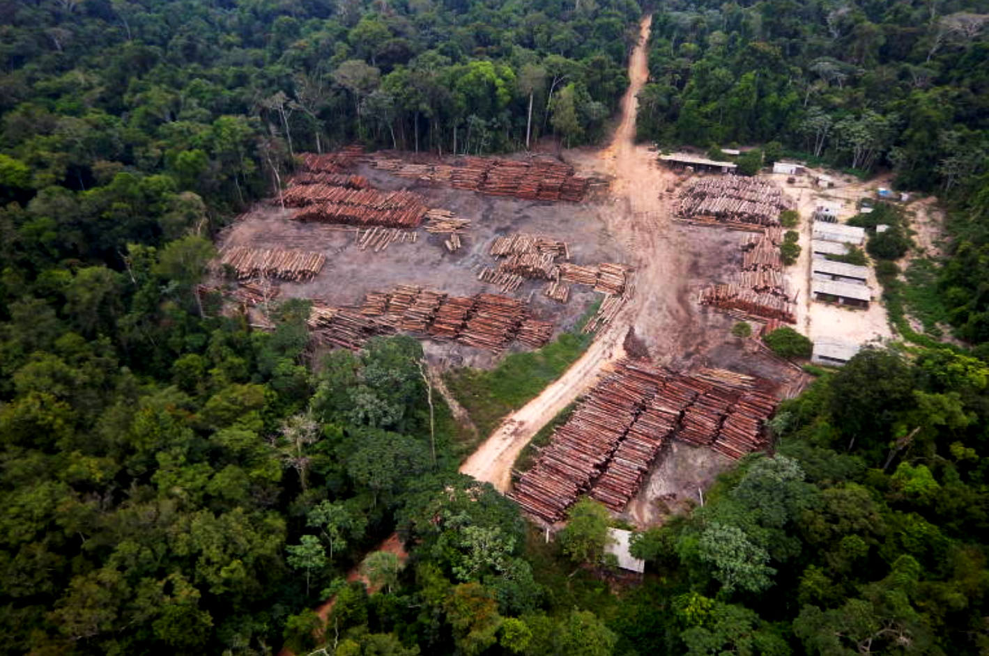 Maior apreensão de madeira da história feita pela Polícia Federal no Pará: ação de Ricardo Salles em favor de madeireiras (Foto Polícia Federal/ Amazônia Real)