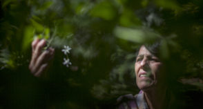 O Alzheimer de perto: um relato de quem convive com a doença na família