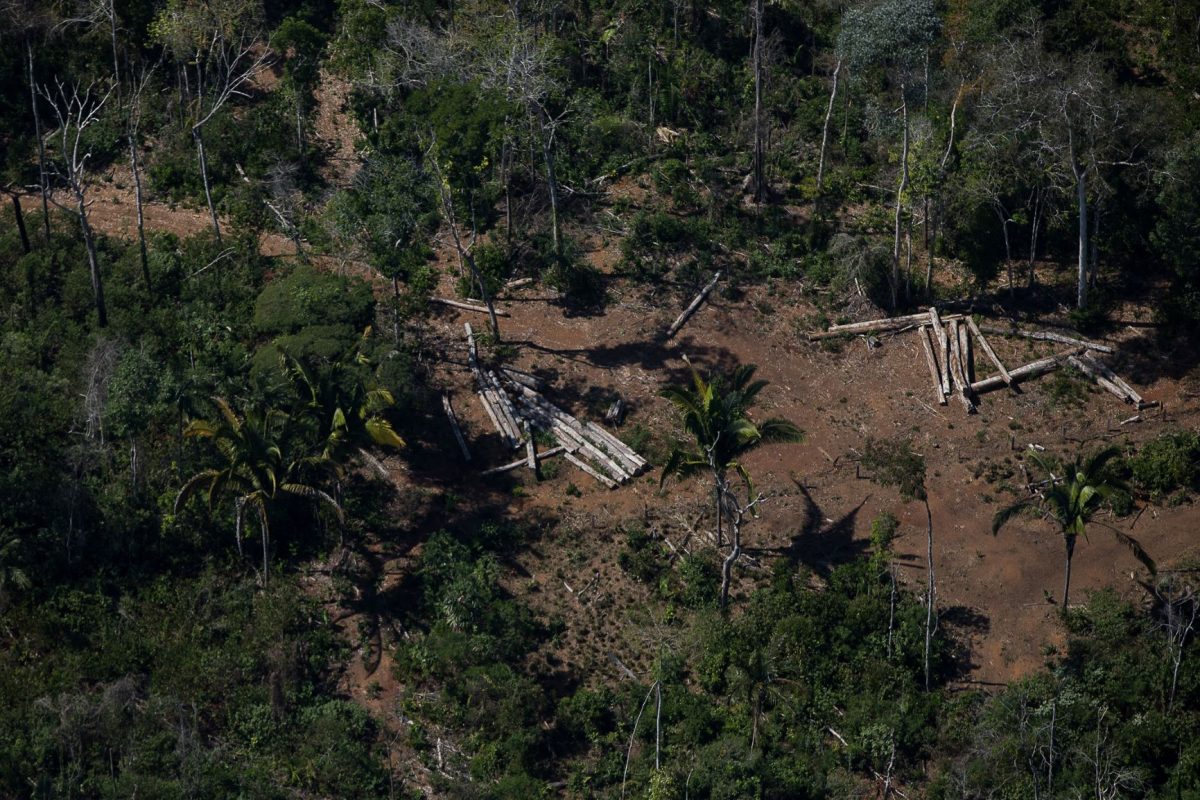 Área desmatada perto de unidade de conservação em Rondônia: legalização de ocupações ilegais (Foto: Bruno Kelly/Amazônia Real - 07/08/2020)