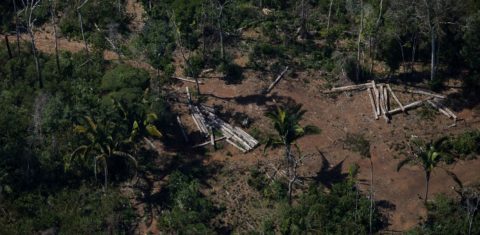 Área desmatada perto de unidade de conservação em Rondônia: legalização de ocupações ilegais (Foto: Bruno Kelly/Amazônia Real - 07/08/2020)