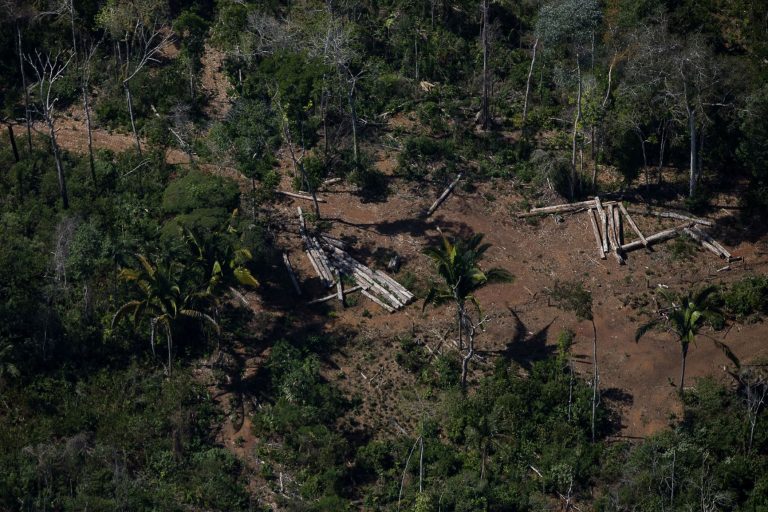 Área desmatada perto de unidade de conservação em Rondônia: legalização de ocupações ilegais (Foto: Bruno Kelly/Amazônia Real - 07/08/2020)