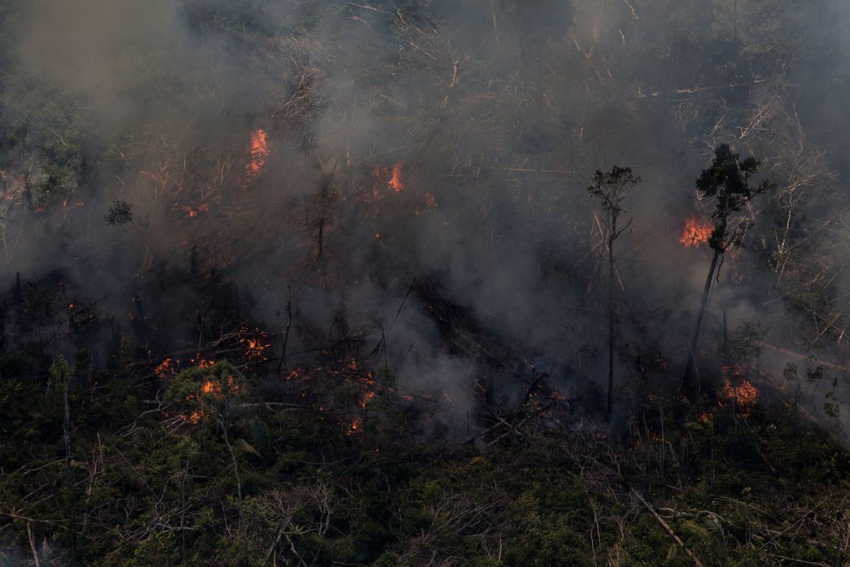 Queimada na floresta em Rondônia: nova lei reduz áreas de preservação e incentiva grilagem (Foto: Bruno Kelly/Amazônia Real - 07/08/2020)